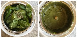 mint sev