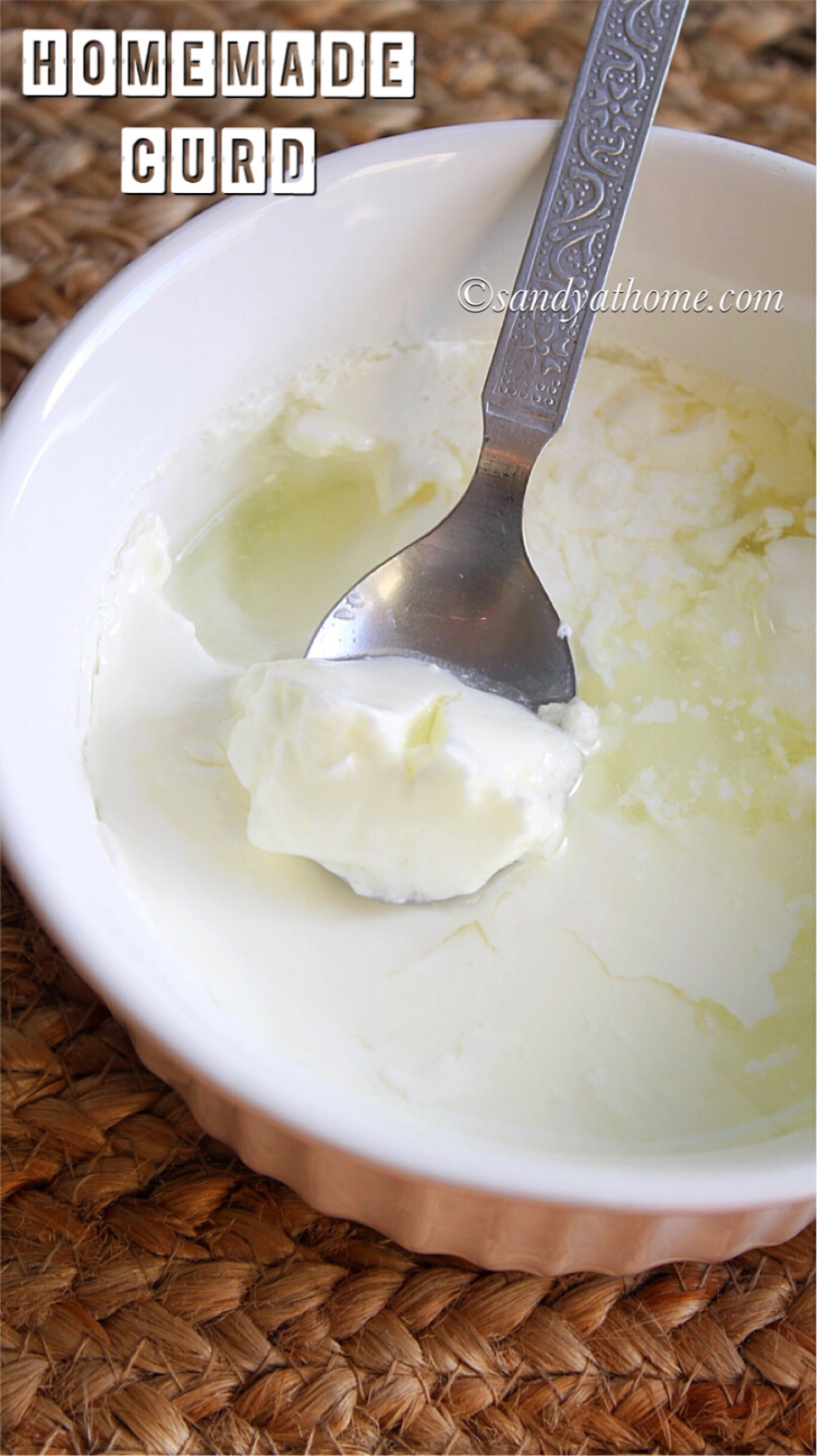 Homemade curd, How to make curd or dahi at home Sandy home
