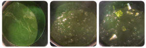 palak paneer