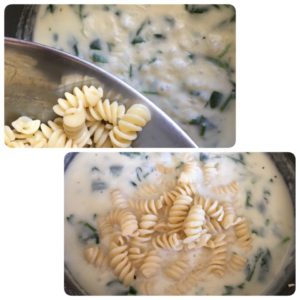 Spinach alfredo pasta