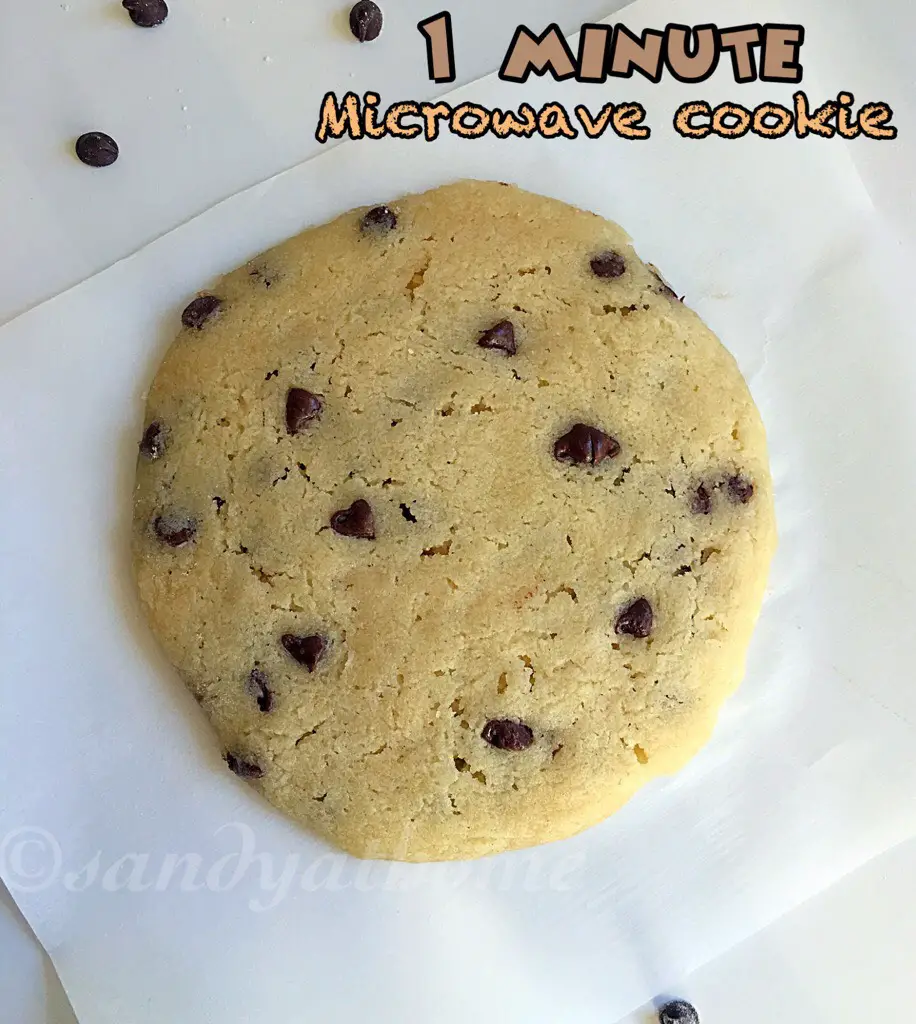 chocolate chip cookie