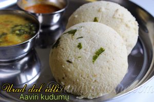 Aaviri kudumu