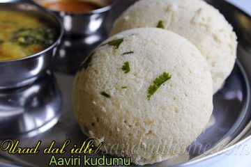 Aaviri kudumu