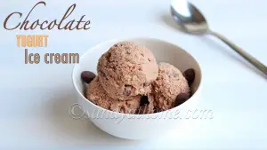 chocolate frozen yogurt