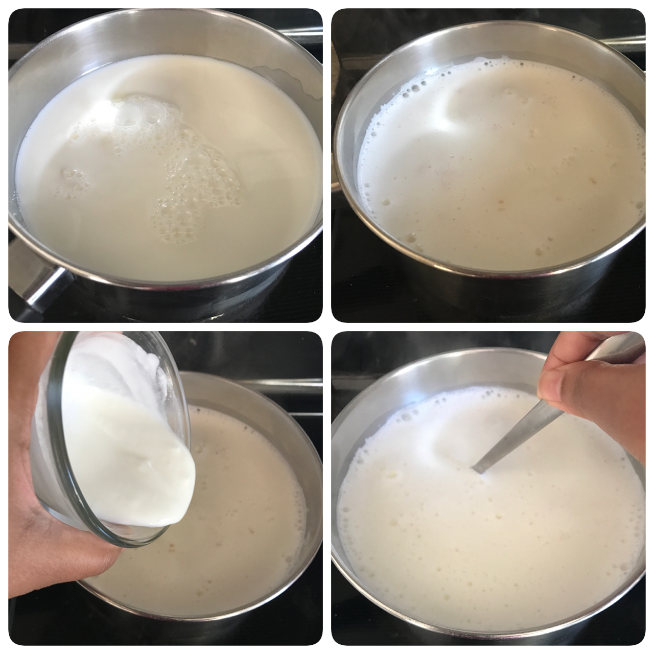 rasgulla