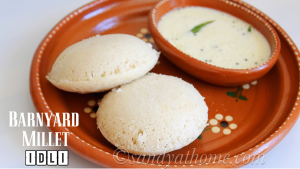 kuthiraivali idli