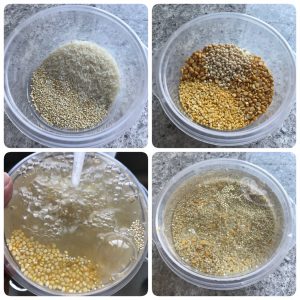 quinoa adai