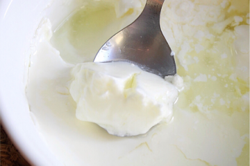 homemade curd, curd