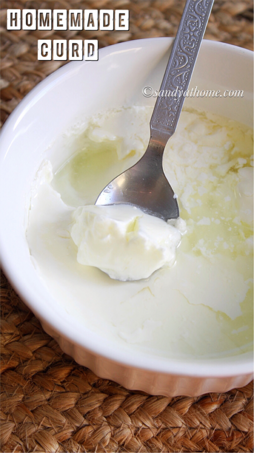 homemade curd, curd