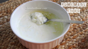 curd, homemade curd, dahi