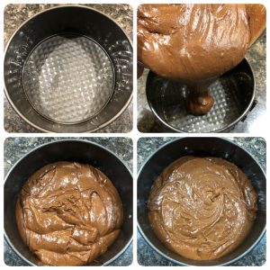 Add cake batter to greased cake pan