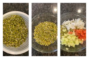 sprouts salad