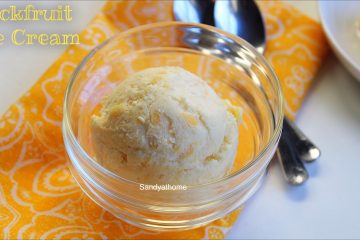 jackfruit ice cream