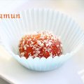 dry gulab jamun